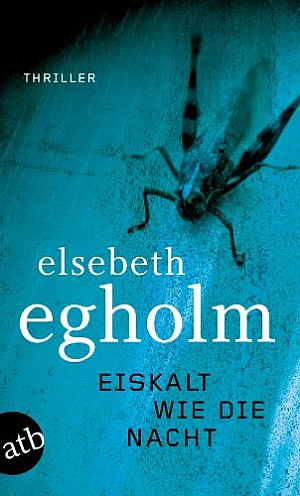 Eiskalt wie die Nacht