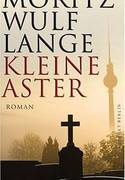 Kleine Aster