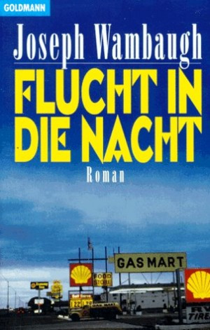 Flucht in die Nacht