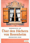 Über den Dächern von Rosenheim