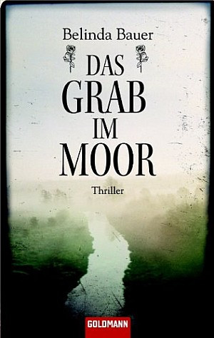 Das Grab im Moor