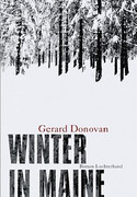 Winter in Maine