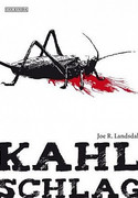 Kahlschlag
