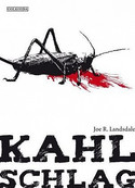Kahlschlag