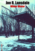 Wilder Winter