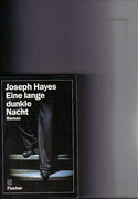 Eine lange dunkle Nacht